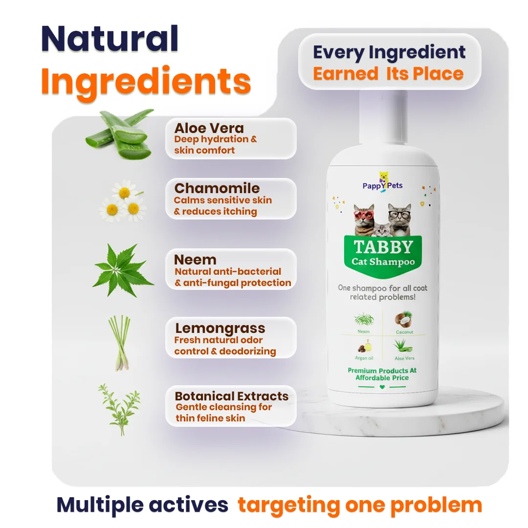 TABBY – The Gentle Yet Powerful Cat Shampoo image 4